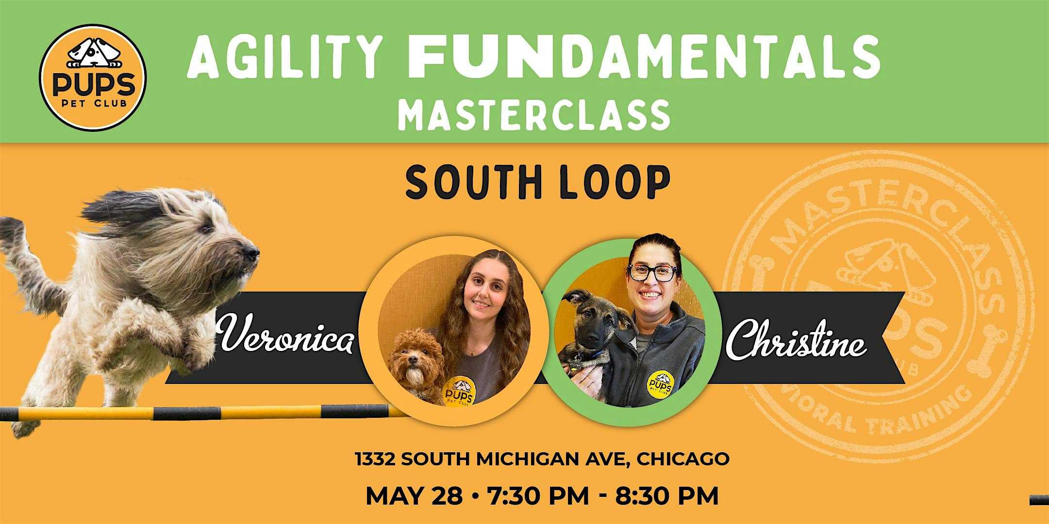 Agility FUNdamentals for Dogs – SOUTH LOOP 28