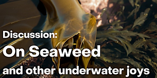 Image principale de Discussion: on Seaweed and other underwater joys