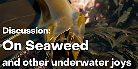 Discussion: on Seaweed and other underwater joys