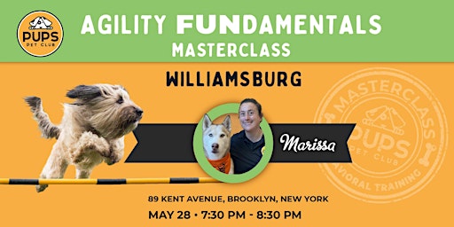 Agility FUNdamentals for Dogs - WILLIAMSBURG 28 primary image