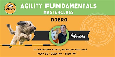 Agility FUNdamentals for Dogs - DOBRO 30 primary image