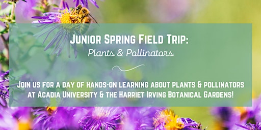 Primaire afbeelding van Junior Spring Field Trip:  Plants & Pollinators