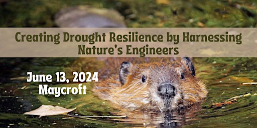 Creating Drought Resilience by Harnessing Nature's Engineers primary image