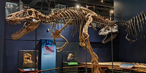 Burpee Museum's 2024  Dino Day Camp: Friday, July 12th, 10am - 2pm primary image