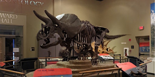 Burpee Museum's 2024  Dino Day Camp: Friday, July 26th, 10am - 2pm primary image