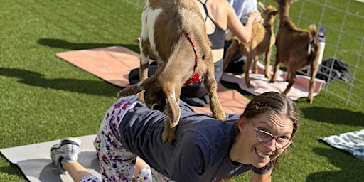 Mother’s Day Sunset Goat Yoga primary image