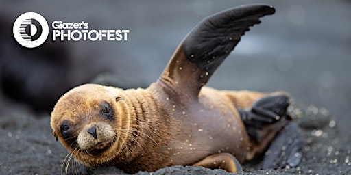 PhotoFest: Photographing the Galapagos with John Greengo