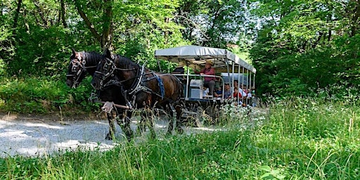 Carriage Ride - Friday, May 10 primary image