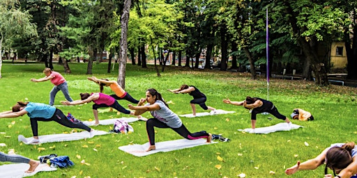 Imagem principal do evento Yoga on the Lawn