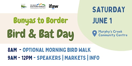 Hauptbild für Bird & Bat Day