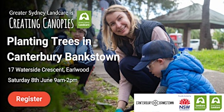 Creating Canopies in Canterbury Bankstown