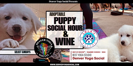 Adoptable Puppy Social Hour & Wine (NO YOGA)  primärbild
