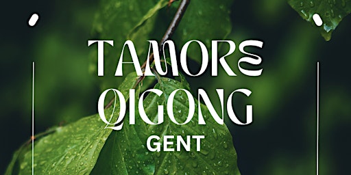 Free Qigong workshop- Citadel park Gent primary image