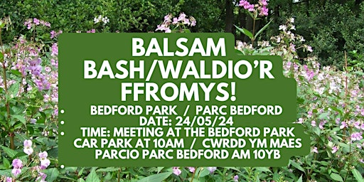 Imagem principal do evento Bedford Park Balsam Bash   /   Waldio’r Ffromys Parc Bedford
