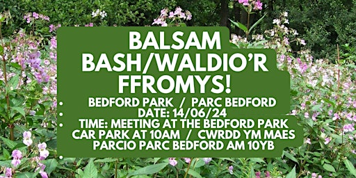 Hauptbild für Bedford Park Balsam Bash   /   Waldio’r Ffromys Parc Bedford