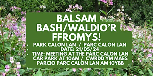 Park Calon Lan Balsam Bash   /   Waldio’r Ffromys Parc Calon Lan primary image