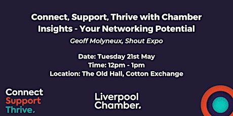 Connect, Support, Thrive with Chamber Insights - Your Networking Potential