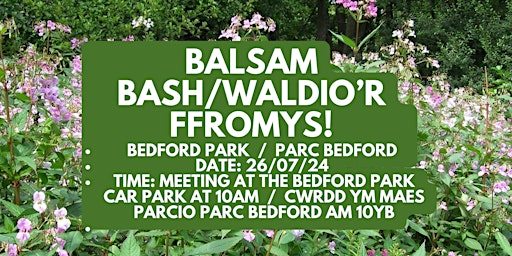 Bedford Park Balsam Bash   /   Waldio’r Ffromys Parc Bedford