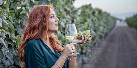 Immagine principale di Masterclass vino con Cantina "La Marchesa" 