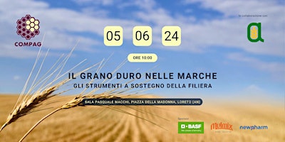 Imagem principal do evento IL GRANO DURO NELLE MARCHE - gli strumenti a sostegno della filiera