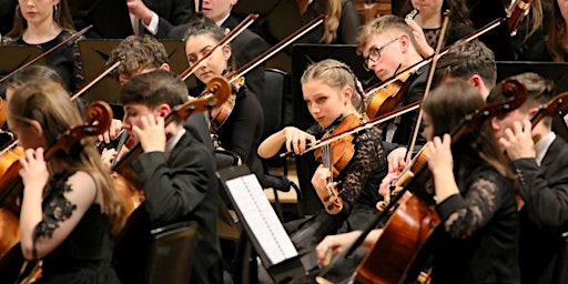 Primaire afbeelding van National Youth Orchestra of Ireland