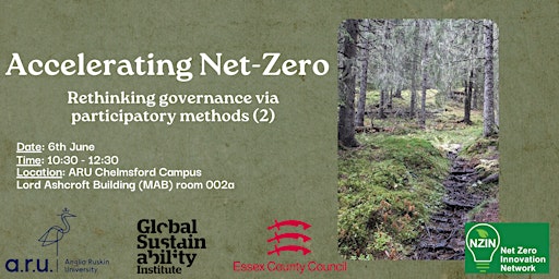 Image principale de Accelerating net-zero: Rethinking governance via participatory methods (2)