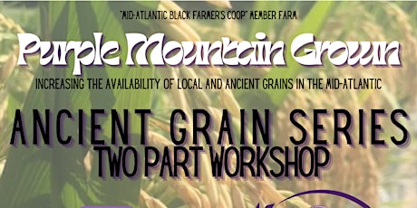 Mid-Atlantic Black Farmers Cooperative: Grain Production for Small Farmers primary image