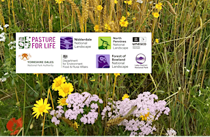 Image principale de Plants, Weeds & Bioindicators with Dr Chris Maughan