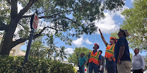 BASIC Tree Trimmer Certification - SPANISH primary image