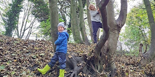 Clowne Explorers Forest School - Parish Funded (Age 5-12yrs) primary image