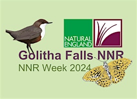 NNR Week 2024 - Golitha Falls Engage in Nature Day primary image