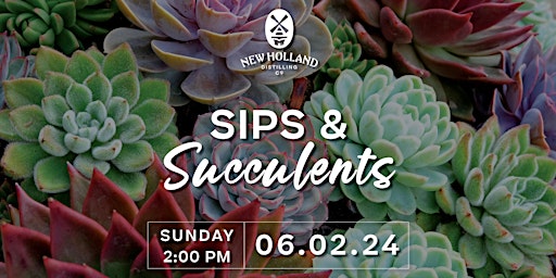 Imagem principal do evento Sips and Succulents