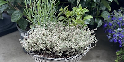 Make Your Own Herb Planter primary image