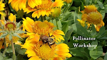 Imagem principal do evento Pollinator Workshop