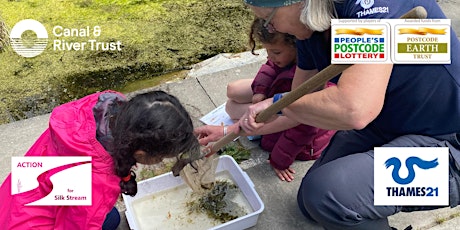Let's Go Wild at Welsh Harp - Pond Dipping!