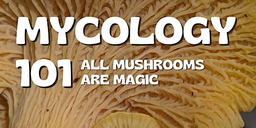 Imagem principal do evento Mycology 101- All Mushrooms are Magic