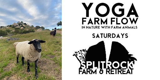 Farm Flow Yoga with Animals