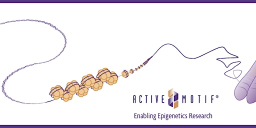 Imagem principal do evento Designing epigenetics projects using ATAC-Seq, ChIP-Seq, CUT&Tag & CUT&RUN