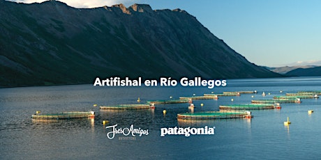 Imagen principal de Artifishal en Río Gallegos