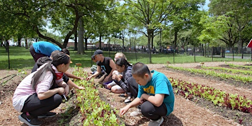 Imagem principal do evento Urban Farming 101 Workshop: Supporting Student Learning in the Garden