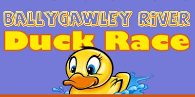Hauptbild für Ballygawley River Duck Race 2024