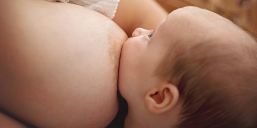 Primaire afbeelding van Group Breastfeeding Class