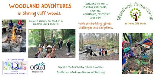 Imagem principal de Woodland Adventures for Kids  in Shining Cliff Woods