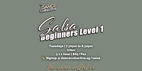 Salsa Level 1 for Beginners (Latin Street Social Dance Course) primary image