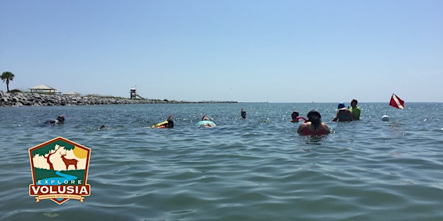 Image principale de Snorkeling Adventure