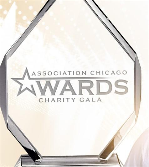 Association Chicago Awards Charity Gala