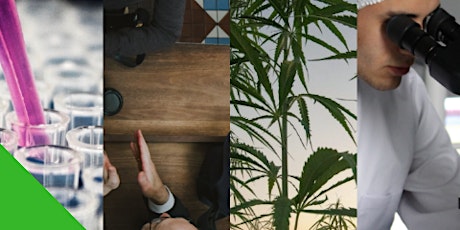 Cannabis Connect - Turning Problems Into Opportunities primary image