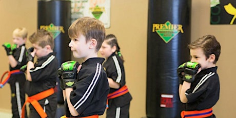 Free Children's Begininer Karate Class primary image