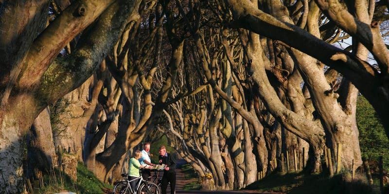 Game of Thrones® Tour from Dublin Including Giant's Causeway (Aug20-Dec20)