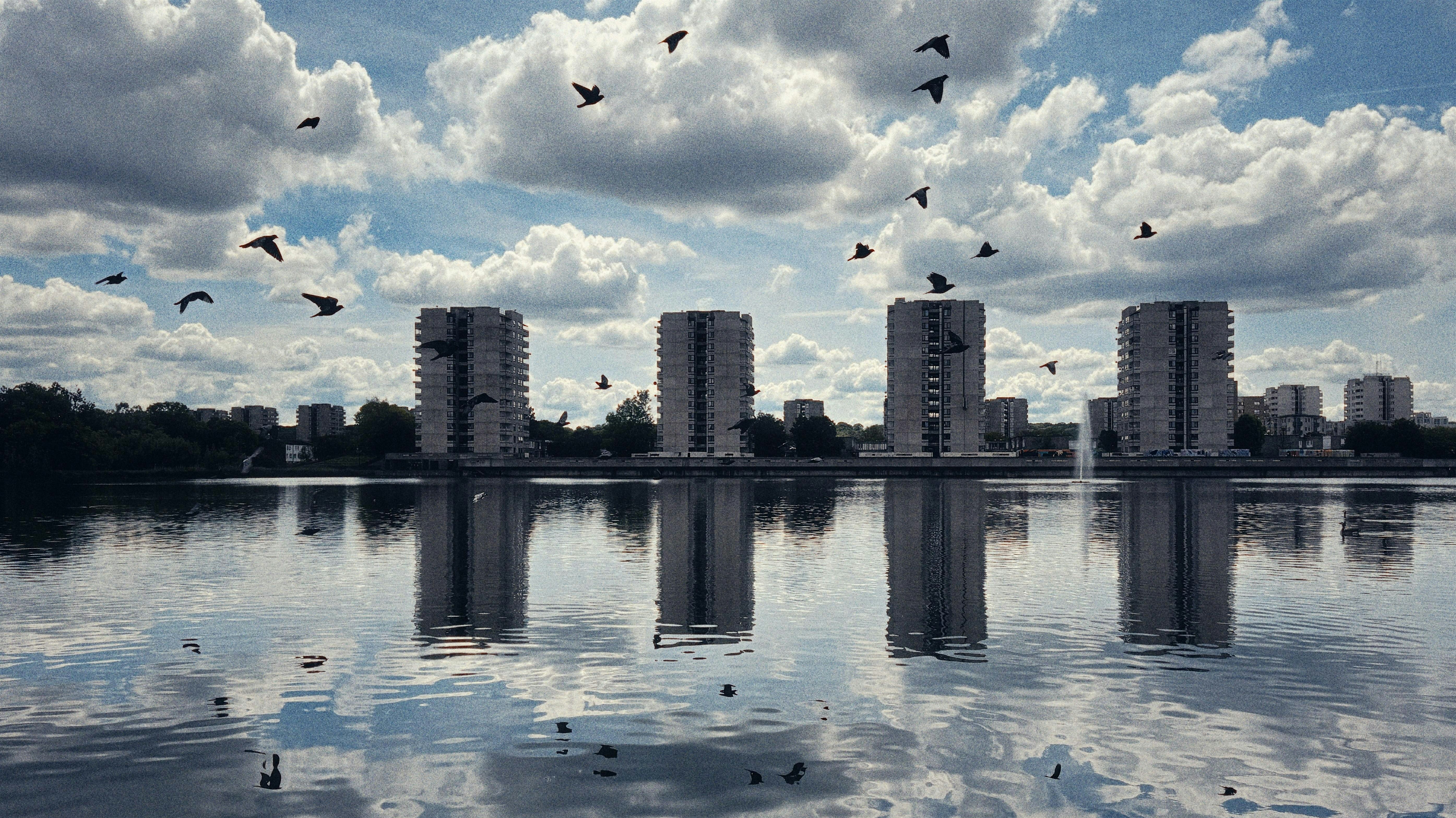 Discover Thamesmead: Abbey Wood to Woolwich Guided Walk